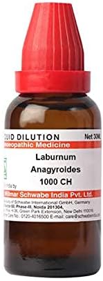 Д-р Уилмар Швабе Индия Laburnum Anagyroides Отглеждане на 1000 ч.