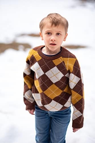 Arshiner Детски Пуловер с дълги ръкави За Момчета, Вязаный Пуловер с кръгло деколте, Шарен Пуловер, Качулки